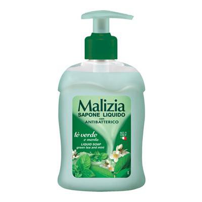 MALIZIA SOAP ANTIBATTERICO ML.300 EROGATORE       MENTA & TE