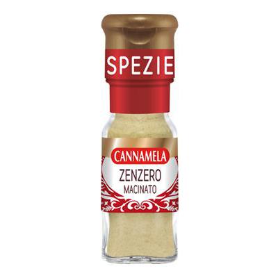 CANNAMELA ZENZERO MACINATO GR.20 SERIEORO