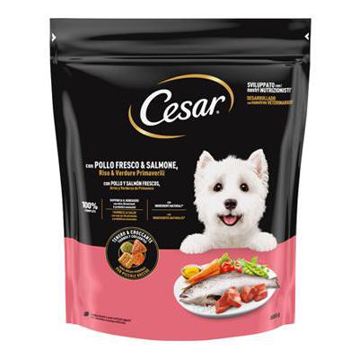CESAR POLLO/SALMONE/VERDURE GR.800