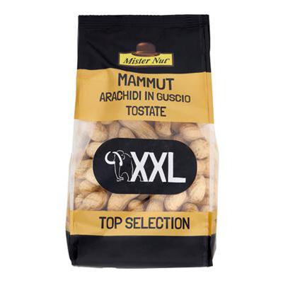 MISTER NUT MAMMUT ARACHIDI INGUSCIO TOSTATE GR400