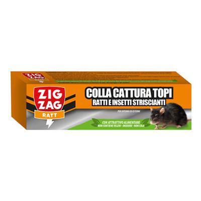 ZIG ZAG COLLA CATTUTA TOPI GR.135