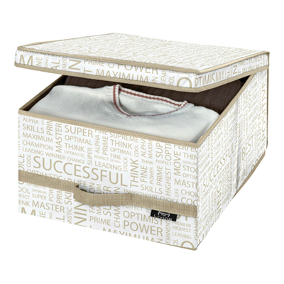 DOMOPAK LIVING SCATOLA GUARDAROBA LARGE 38X50X24