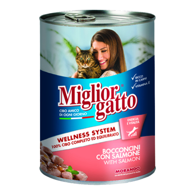 MIGLIOR GATTO BOCCONCINI GR.405 SALMONE