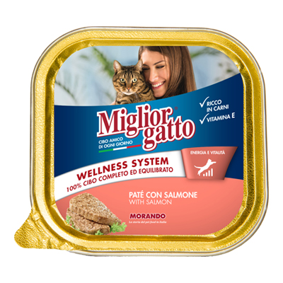 MIGLIOR GATTO VASCHETTA GR.100SALMONE