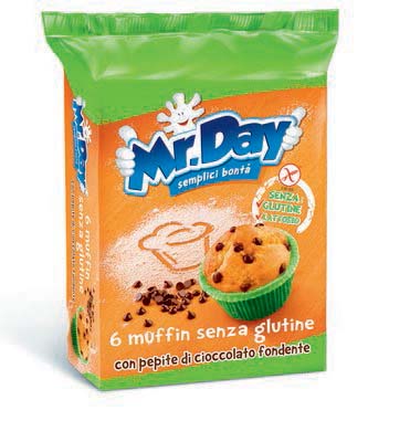 MR DAY MUFFIN SENZA GLUTINE GR.252