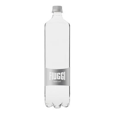 ACQUA FIUGGI NATURALE PET CL.50