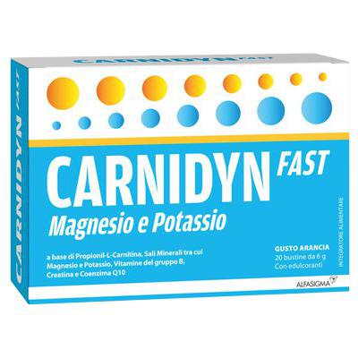 CARNIDYN FAST MAGNESIO E POTASIO 20BST