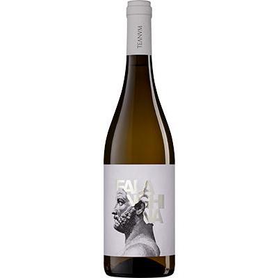 TEANUM FALANGHINA 13� CL.75