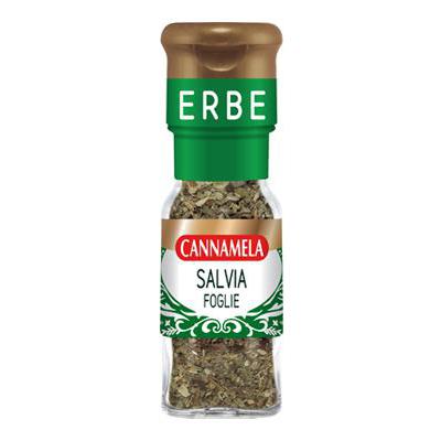 CANNAMELA SERIEORO SALVIA FOGLIE GR.8